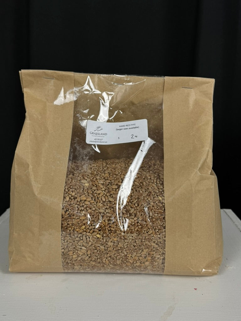 Hard Red Fyfe Wheat Berries (2kg)