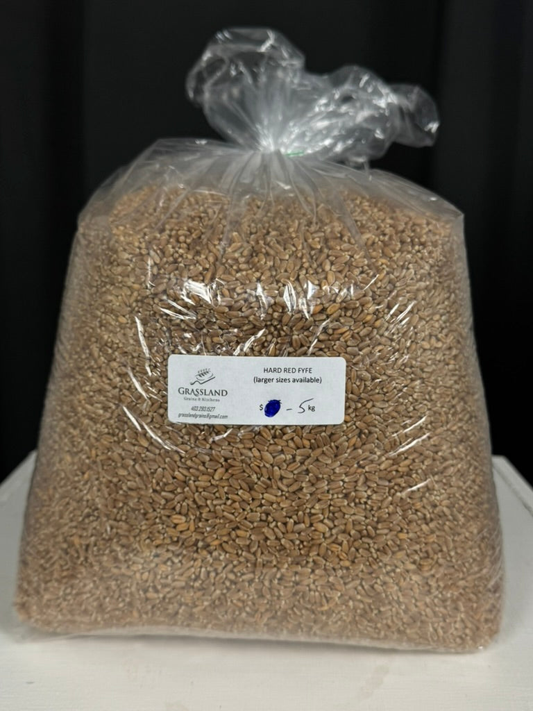 Hard Red Fyfe Wheat Berries (4kg)
